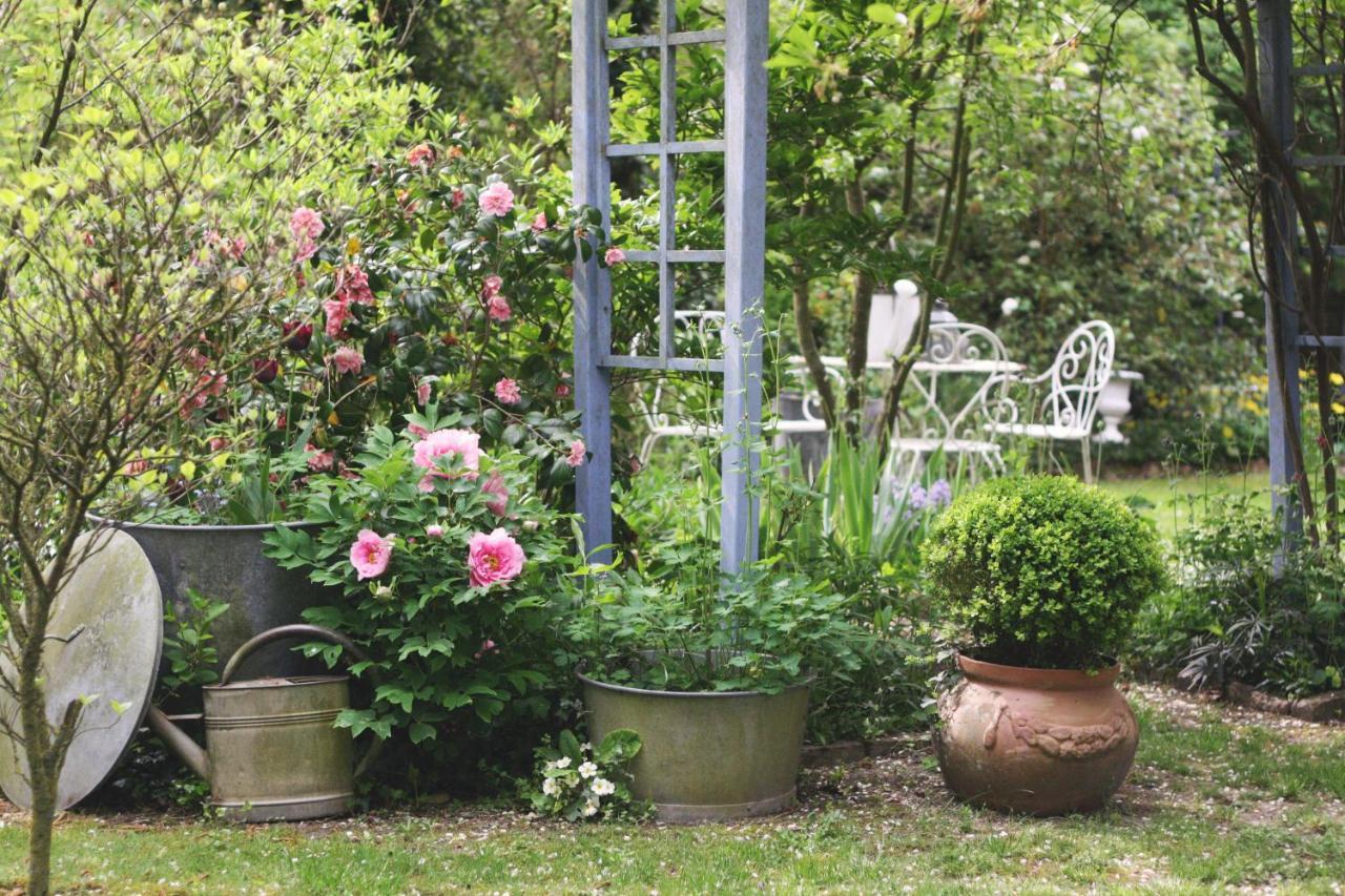 Bed and Breakfast Le Bonheur A La Campagne Lesmont Экстерьер фото